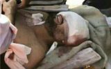 نه از کوسه خبری بود و نه در آبهای کیش اتفاق افتاد / پنکه مرا زد نه از کوسه خبری بود و نه در آبهای کیش اتفاق افتاد / پنکه مرا زد