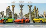 دور دور گاومیش اسپانیایی و یوزپلنگ آمریکایی در خیابانهای کیش + عکس و فیلم دور دور گاومیش اسپانیایی و یوزپلنگ آمریکایی در خیابانهای کیش + عکس و فیلم