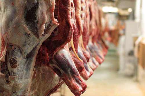 عرضه گوشت تنظیم بازار در کیش