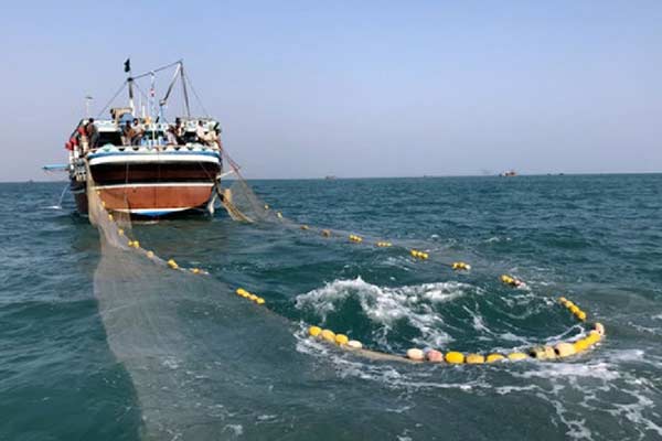 توقیف ۳۴ فروند شناور غیرمجاز صید «ترال» از ابتدای امسال