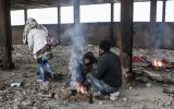 انتقال معتادان متجاهر کیش به خارج از جزیره انتقال معتادان متجاهر کیش به خارج از جزیره