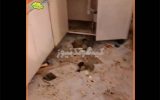تمامی منازل مجموعه اسپادانا تخلیه میشوند تمامی منازل مجموعه اسپادانا تخلیه میشوند